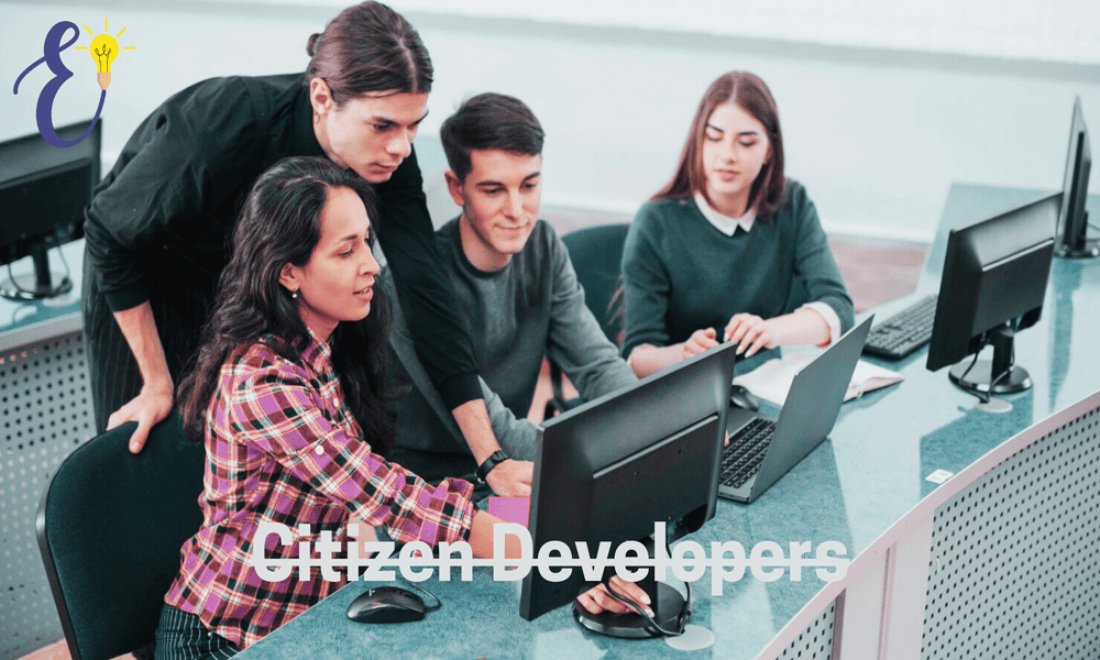 Citizen Developers